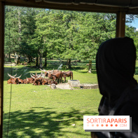 Photos du Dîner Safari du Zoo de Thoiry