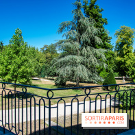 Le Waldorf Astoria Trianon Palace, un écrin royal au cœur du parc de Versailles