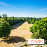 Le Waldorf Astoria Trianon Palace, un écrin royal au cœur du parc de Versailles