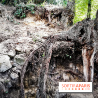 Sur les pas de Vincent Van Gogh, une balade à Auvers-sur-Oise