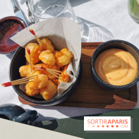 Photos Mun Rooftop Champs-Elysées