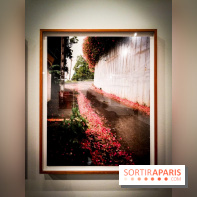 Soleil cou coupé, l'expo photo de Gregory Halpern à la Fondation Henri Cartier-Bresson