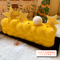 Bûches de Noël 2020 Angelina