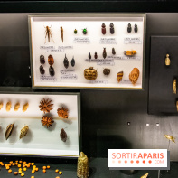 Akan, les valeurs de l'échange, l'expo à la Monnaie de Paris