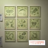 Exposition Lucy+Jorge Orta au Drawing Lab