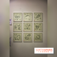 Exposition Lucy+Jorge Orta au Drawing Lab