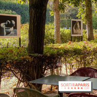 Photos : Rodin en son Jardin au Musée Rodin