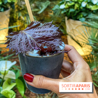 Photos bar 19.20 au Prince de Galles