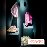 Exposition Pierres précieuses avec Van Cleef & Arpels au Muséum, nos photos