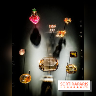 Exposition Pierres précieuses avec Van Cleef & Arpels au Muséum, nos photos