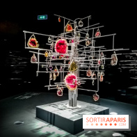 Exposition Pierres précieuses avec Van Cleef & Arpels au Muséum, nos photos