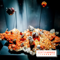 Exposition Pierres précieuses avec Van Cleef & Arpels au Muséum, nos photos