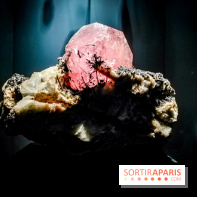 Exposition Pierres précieuses avec Van Cleef & Arpels au Muséum, nos photos