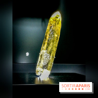 Exposition Pierres précieuses avec Van Cleef & Arpels au Muséum, nos photos