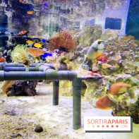 Bio-inspirée, la nouvelle expo permanente à la Cité des Sciences et de l'Industrie