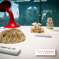 Bio-inspirée, la nouvelle expo permanente à la Cité des Sciences et de l'Industrie