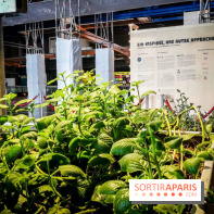 Bio-inspirée, la nouvelle expo permanente à la Cité des Sciences et de l'Industrie