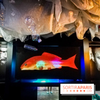 Mythologies du poisson rouge, l'exposition de l'Appart Renoma, nos photos