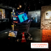 Mythologies du poisson rouge, l'exposition de l'Appart Renoma, nos photos