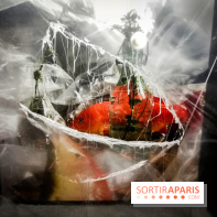 Mythologies du poisson rouge, l'exposition de l'Appart Renoma, nos photos