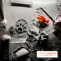 Mythologies du poisson rouge, l'exposition de l'Appart Renoma, nos photos