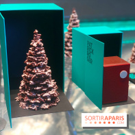 Patrick Roger - Noël 2020