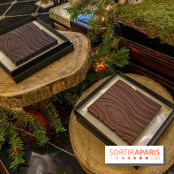 La Bûche de Noël Tison du Prince de Galles Paris par Tristan Rousselot