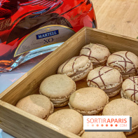 Photos : Bûches et créations de Noël Dalloyau 2020