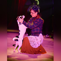 Voyage dans le temps, le spectacle du Cirque Bormann