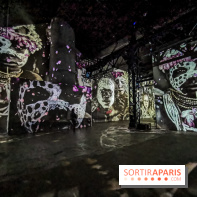 Photos : Exposition immersive Jimmy Nelson : The last sentinels à l’Atelier des Lumières 