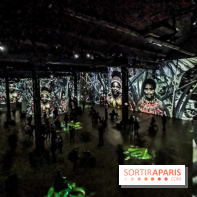 Photos : Exposition immersive Jimmy Nelson : The last sentinels à l’Atelier des Lumières 