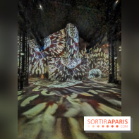 Photos : Exposition immersive Jimmy Nelson : The last sentinels à l’Atelier des Lumières 