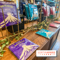 Photos : Bûches et créations de Noël 2020 chez Mariage Frères