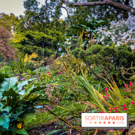 Visuel Paris Parc Monceau