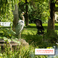 Visuel Paris Parc Monceau