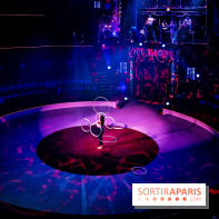 Dingue du Cirque Bouglione au Cirque d'Hiver