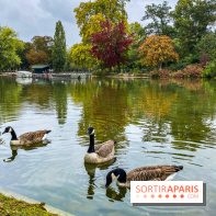 Visuel Paris, Lac Daumesnil bois de Vincennes