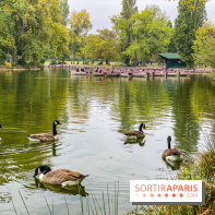 Visuel Paris, Lac Daumesnil bois de Vincennes