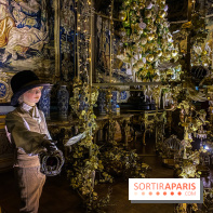 Photos : Vaux-le-vicomte en Lumières