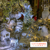 Photos : Vaux-le-vicomte en Lumières animaux