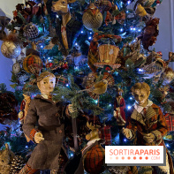 Photos : Vaux-le-vicomte en Lumières