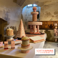 Photos : Vaux-le-vicomte en Lumières biscuits