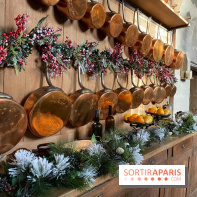 Photos : Vaux-le-vicomte en Lumières