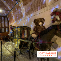 Photos : Vaux-le-vicomte en Lumières