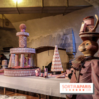 Photos : Vaux-le-vicomte en Lumières