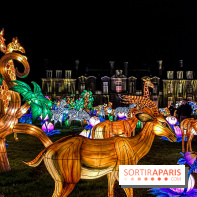 Photos : Thoiry Lumières Sauvages 2020-2021