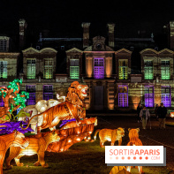 Photos : Thoiry Lumières Sauvages 2020-2021 roi lion