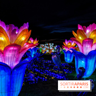 Photos : Thoiry Lumières Sauvages 2020-2021