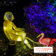 Photos : Thoiry Lumières Sauvages 2020-2021