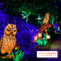 Photos : Thoiry Lumières Sauvages 2020-2021